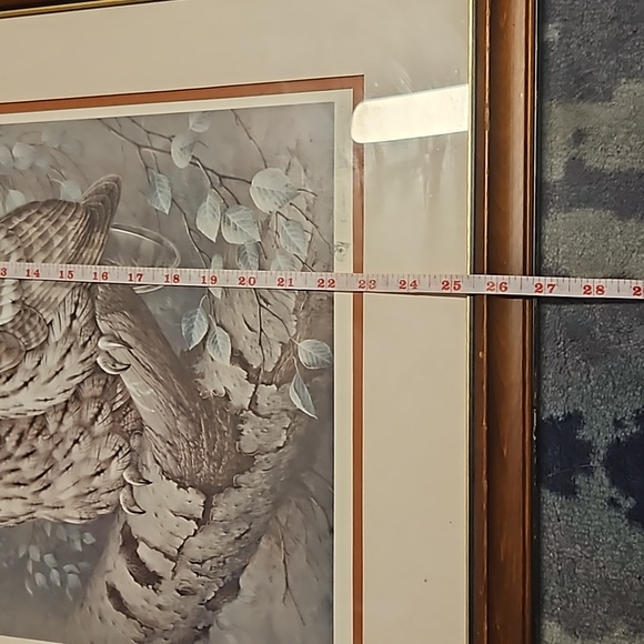 Vintage, Signed, Raymond Watson -Tawny Owl, framed print - Picture 4 of 5